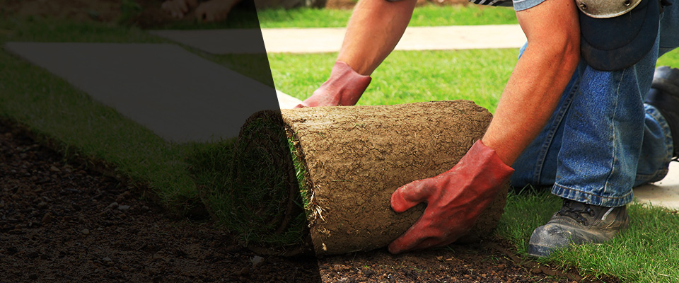 Jonestown Landscapers